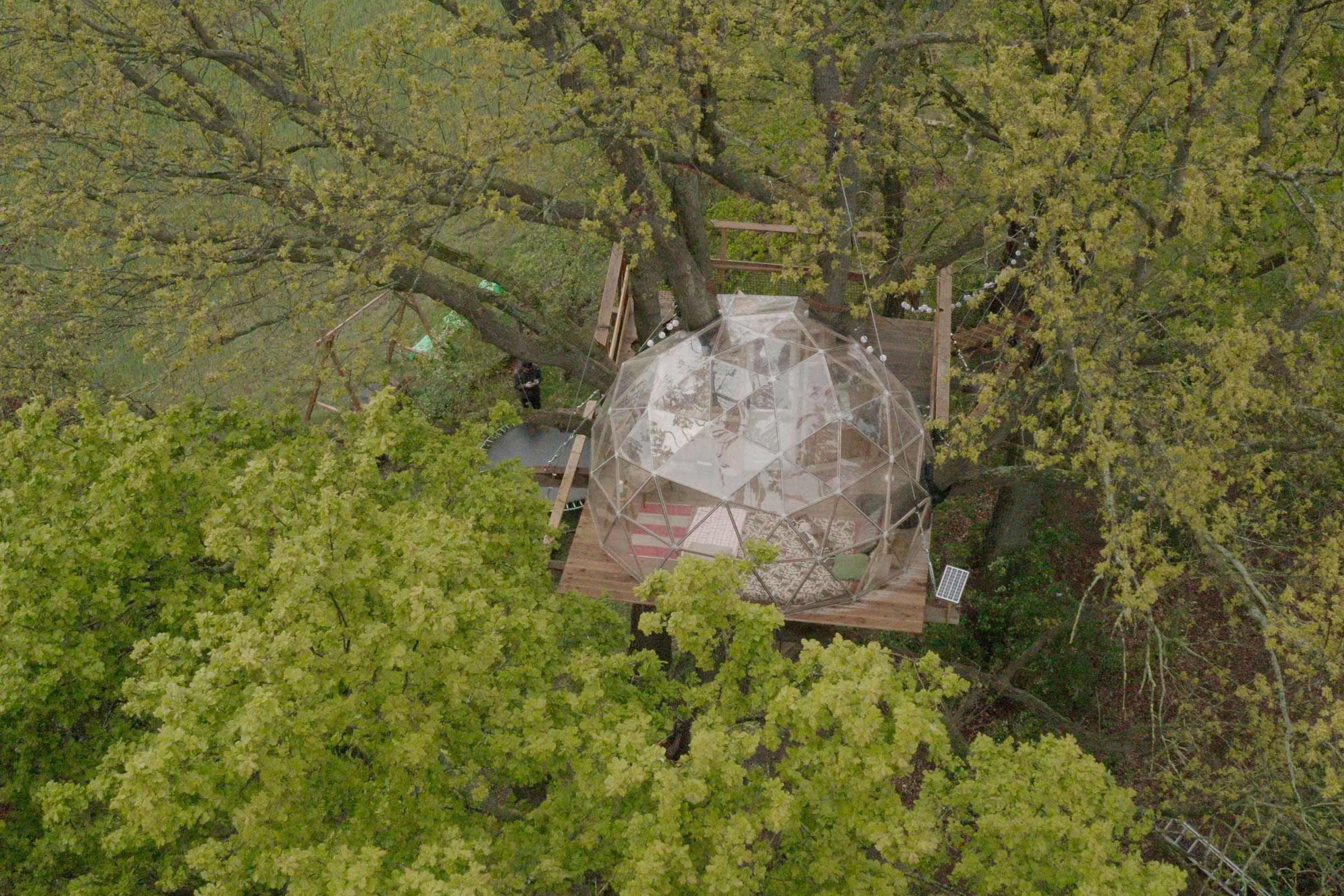 Cabane dans les arbres avec dôme sur une plateforme en bois, entourée d'arbres.