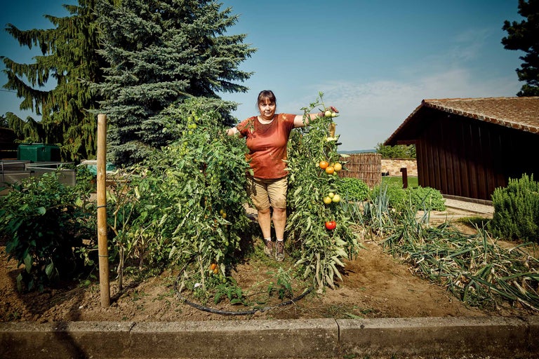 Frau steht in einem Gemüsegarten zwischen Tomatenpflanzen