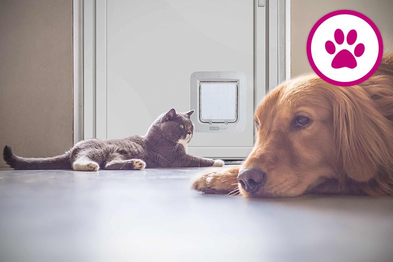 Katze und Hund liegen vor einer Haustiertür der Marke Sure Flap