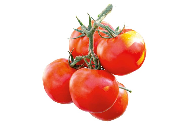 Tomaten an der Rispe