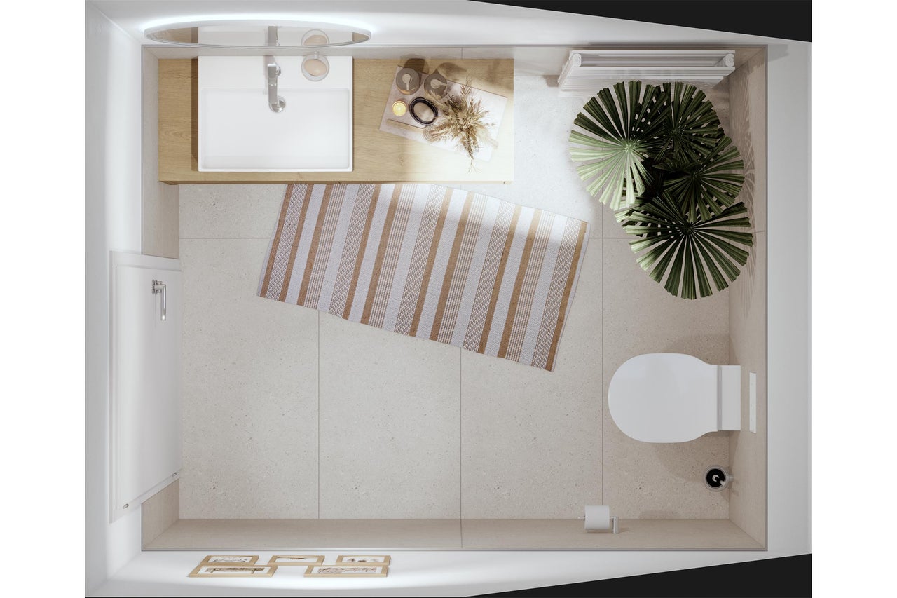 Vue de dessus d'une salle de bains avec lavabo, miroir, sèche-serviettes, toilettes, tapis de bain et plante d'intérieur