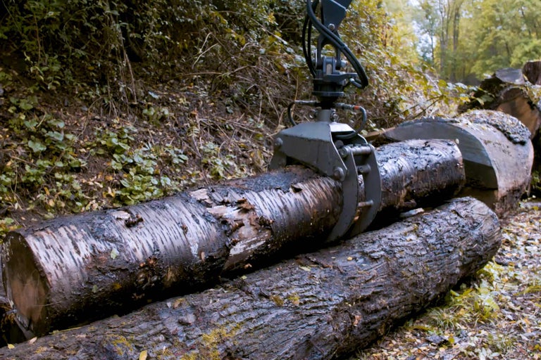 Grappin à bois soulevant une grume dans la forêt