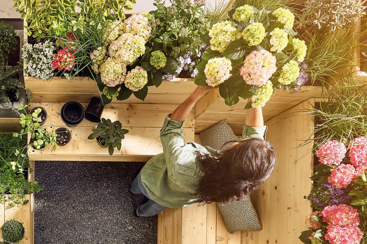 Dachterrassen Gestaltung mit Bepflanzung aus Hortensien und verschiedenen Pflanzen