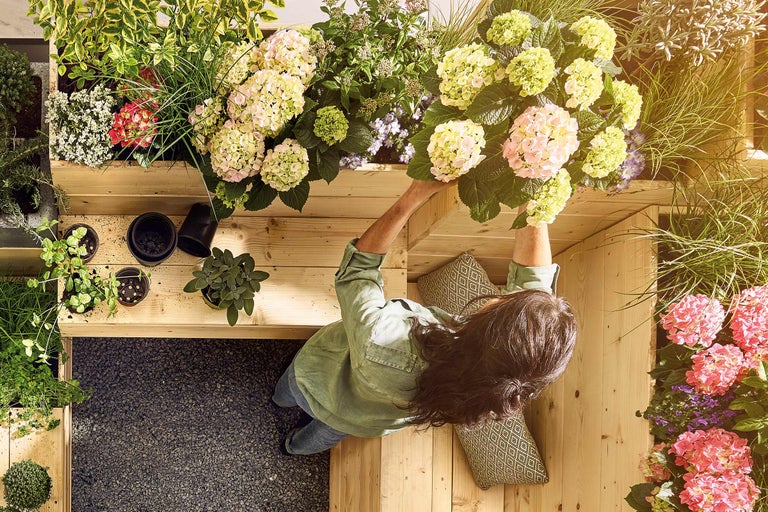 Dachterrassen Gestaltung mit Bepflanzung aus Hortensien und verschiedenen Pflanzen
