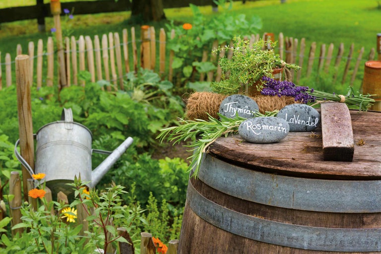 Nature morte de jardin avec herbes aromatiques, pierres portant des inscriptions, arrosoir et clôture en bois
