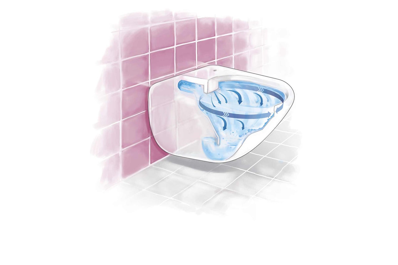 Schema einer spülrandlosen Toilette mit Wasserfluss