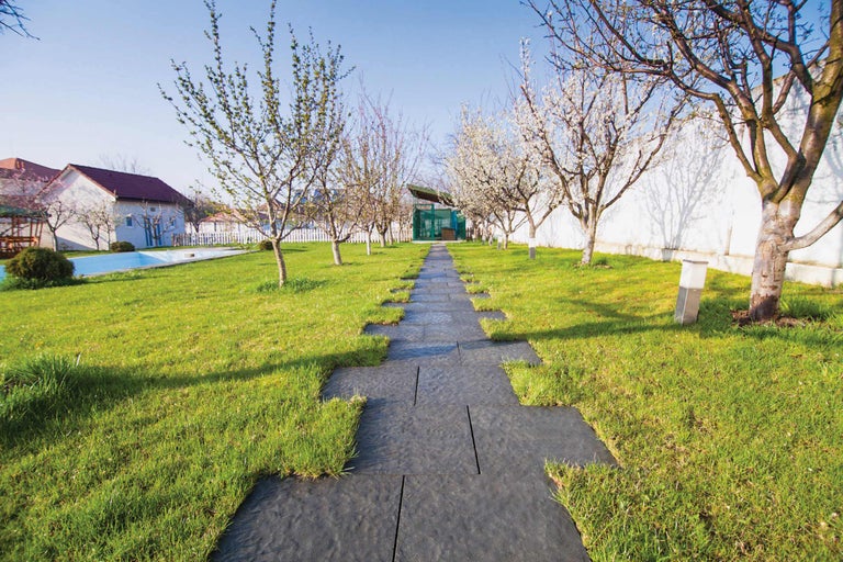 Gartenlandschaft mit Rasen und einem Weg aus Gartenplatten