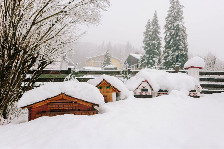 Scène hivernale avec des nichoirs sous la neige