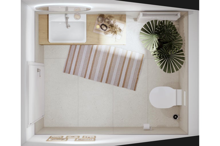 Vue de dessus d'une salle de bain avec lavabo, toilettes, tapis et plante