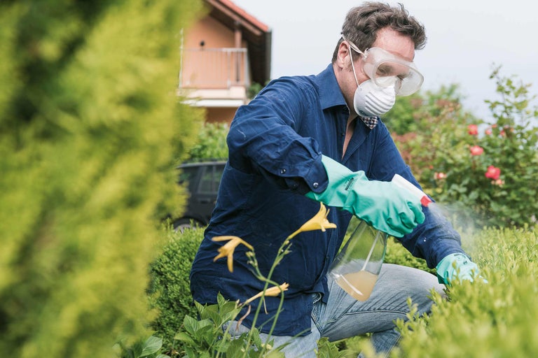 Un homme pulvérise des plantes avec des lunettes de protection, un masque de protection et des gants.