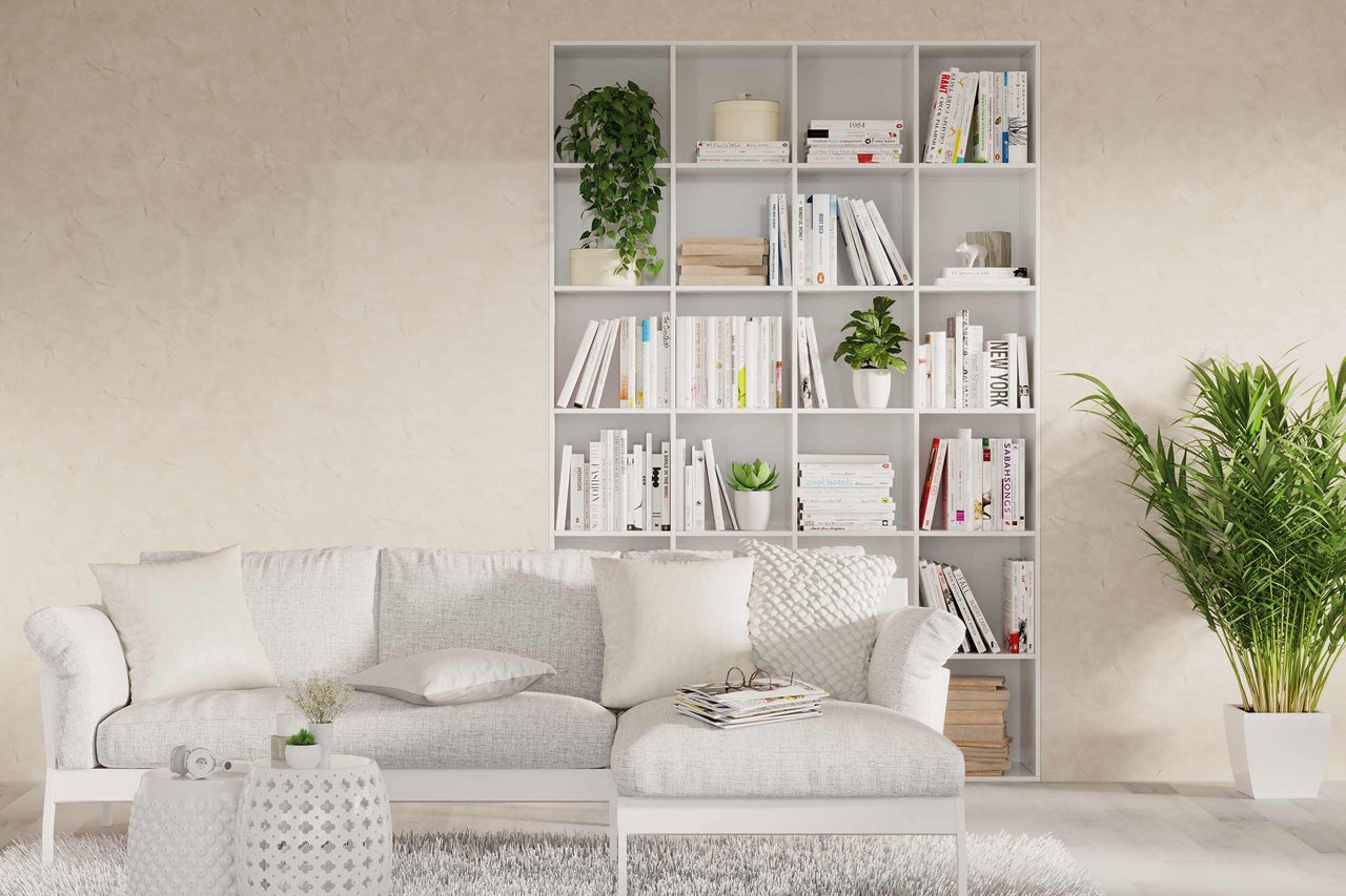 Wohnzimmer mit weissem Buecherregal, Sofa, Zimmerpflanzen und Dekorationen