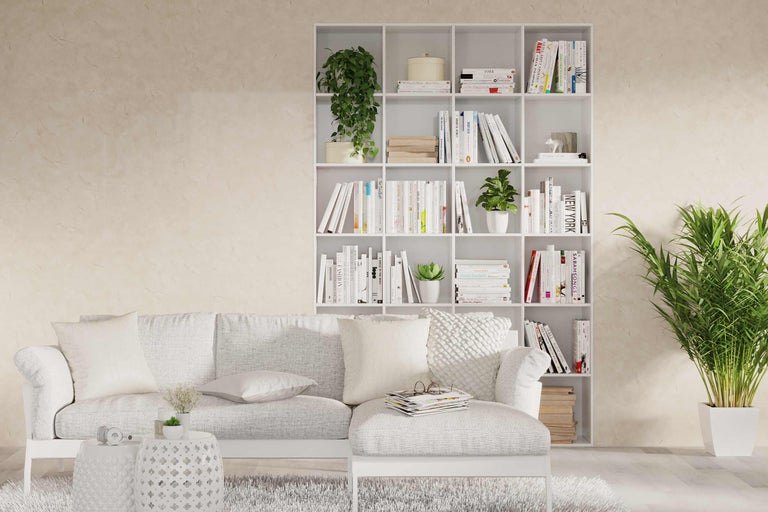 Séjour avec bibliothèque blanche, canapé, plantes d'intérieur et décorations