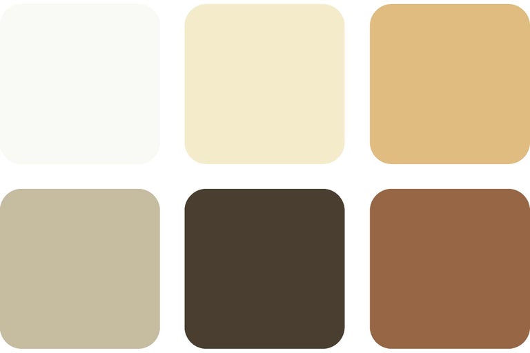 Carte d'échantillons de peinture avec six teintes différentes