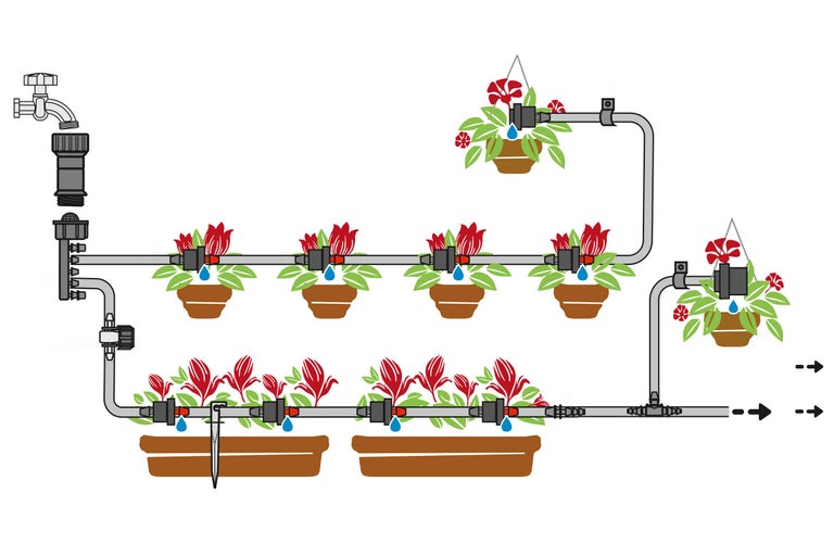 Schéma d'un système d'irrigation pour plantes
