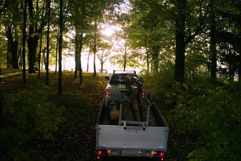 Un pick-up avec des troncs d'arbres traverse une forêt.