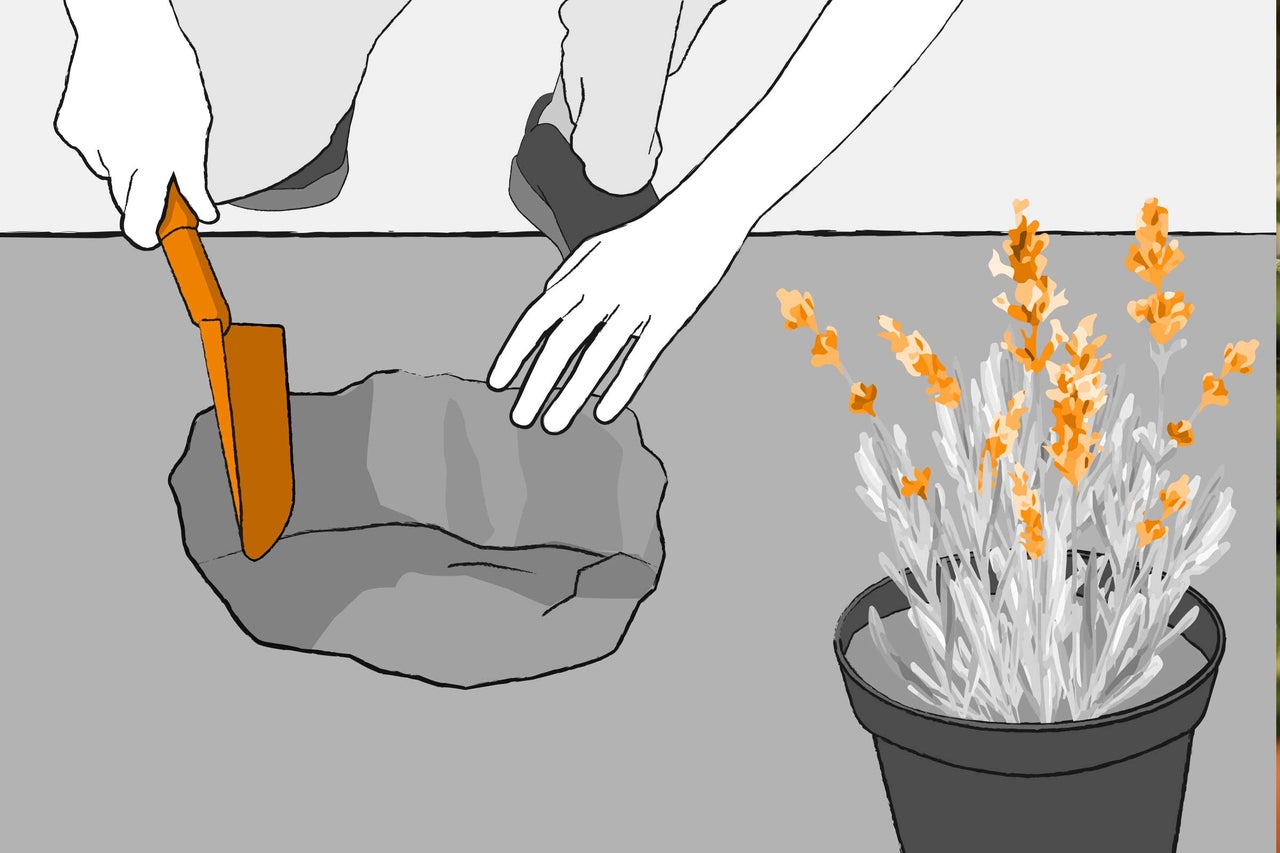 Illustration d'un jardinier plantant une plante dans une rocaille