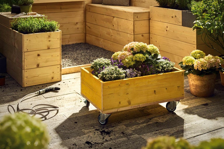 Scène avec des bacs surélevés en bois et diverses plantes sur une terrasse.
