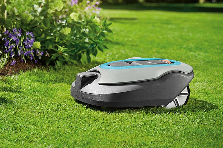 Robot tondeuse sur pelouse