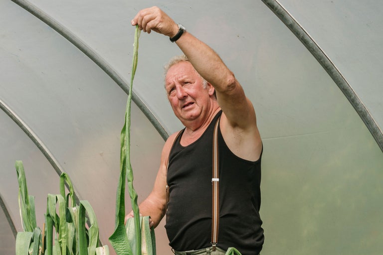 Homme dans une serre tenant un poireau
