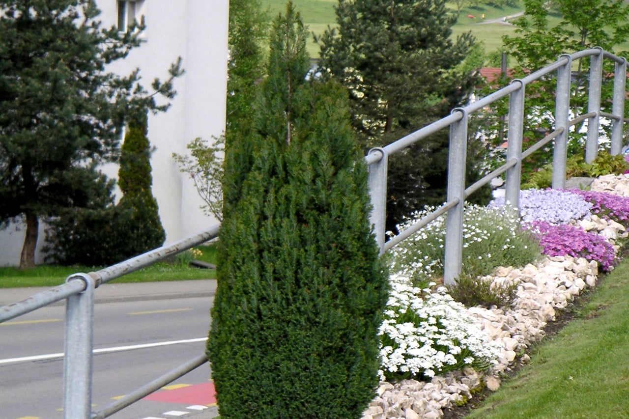 Extérieur d'un jardin avec rocaille et diverses plantes