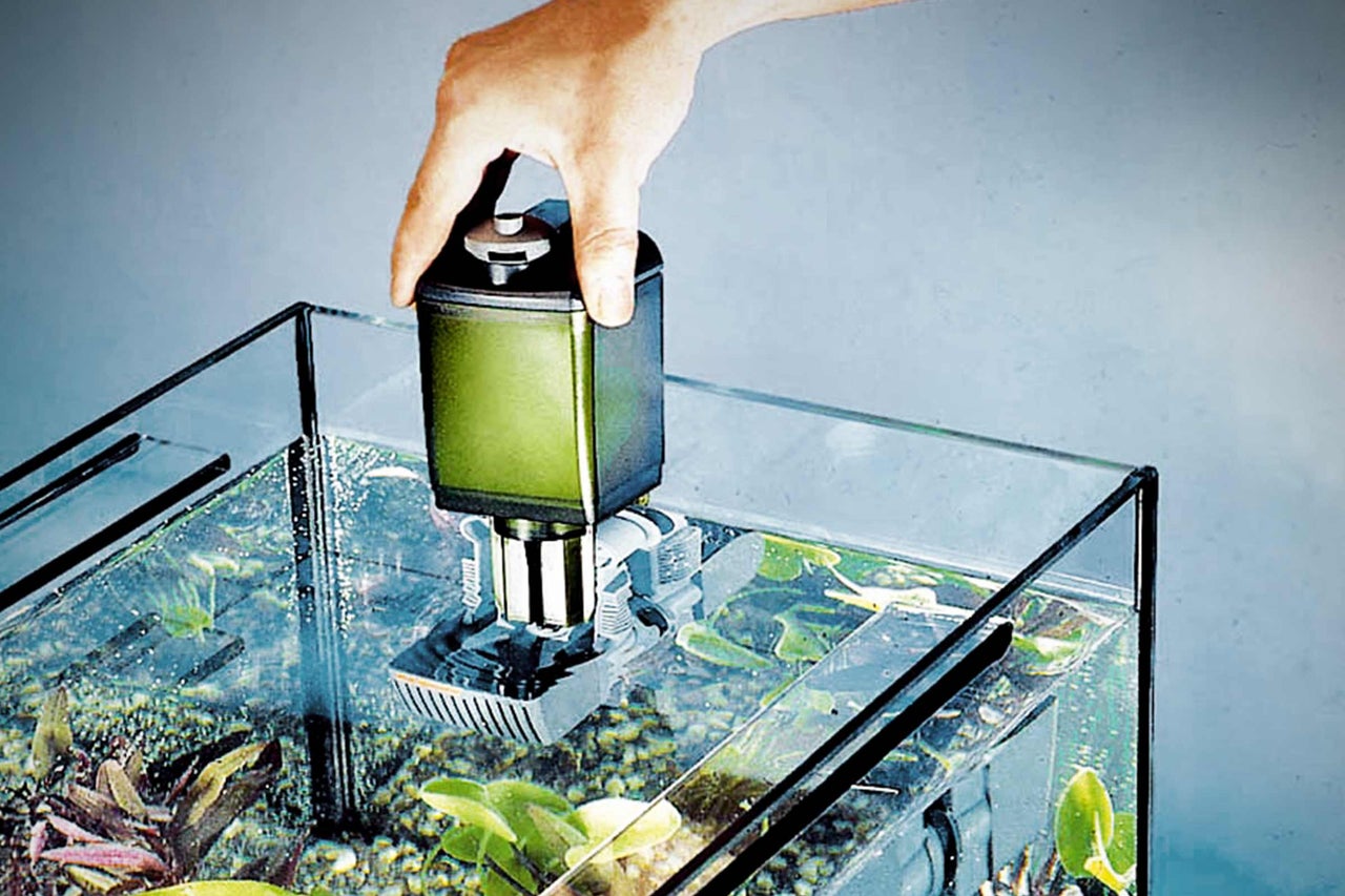 Aquarium avec filtre interne et main