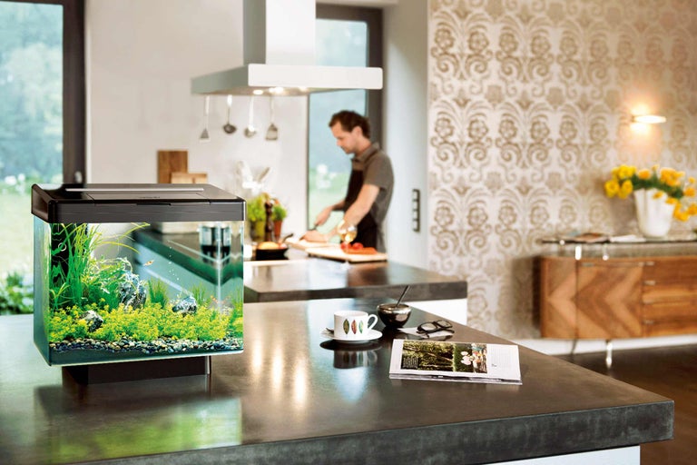 Aquarium avec plantes et poissons sur un plan de travail de cuisine dans une cuisine claire et spacieuse.