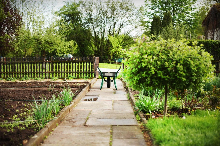 Scène de jardin avec allée, brouette, parterre et clôture en bois
