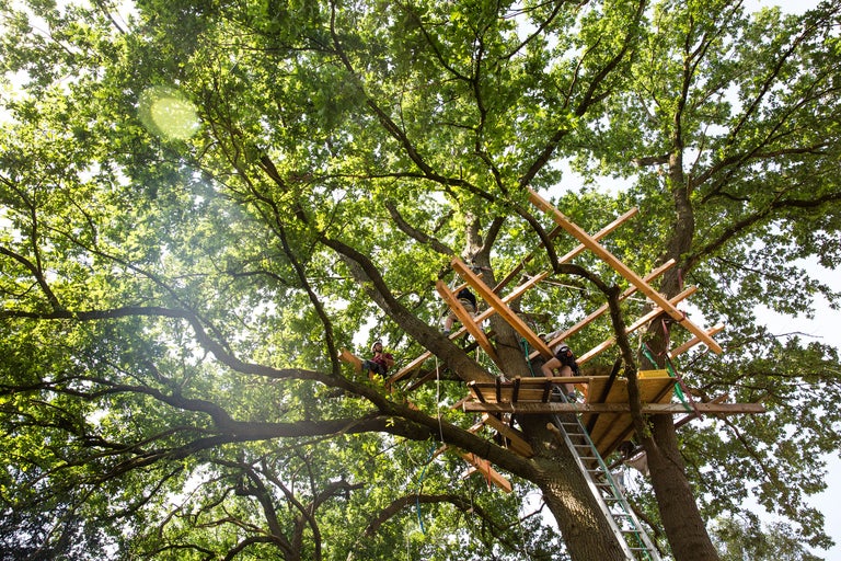 Baumhausbau im Garten mit Personen auf Plattformen und Leiter