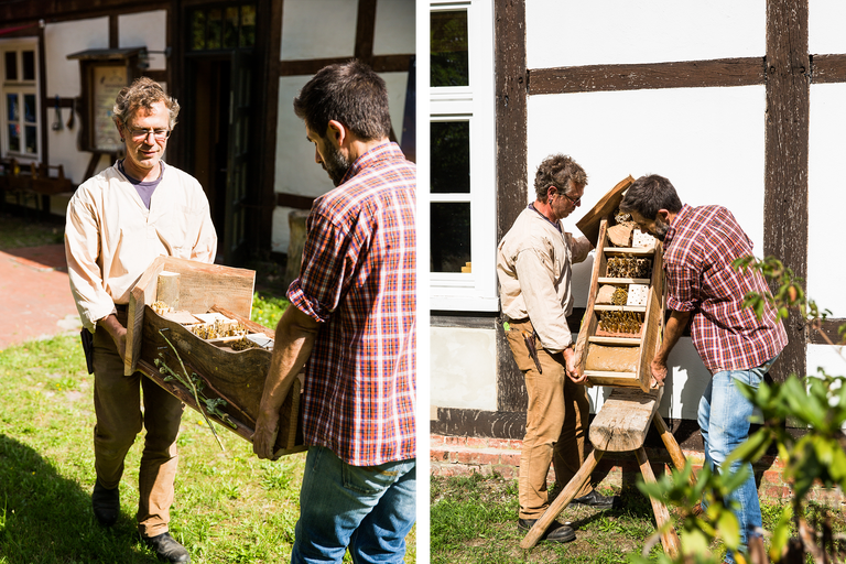 Deux hommes transportent un hôtel à insectes dans le jardin