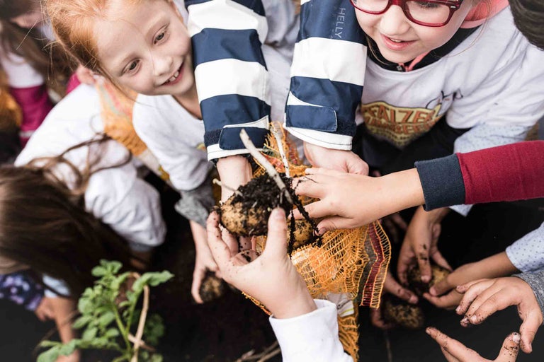 Kinder halten frisch geerntete Kartoffeln in der Hand