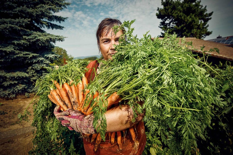 Femme tenant un bouquet de carottes avec des légumes verts dans ses bras