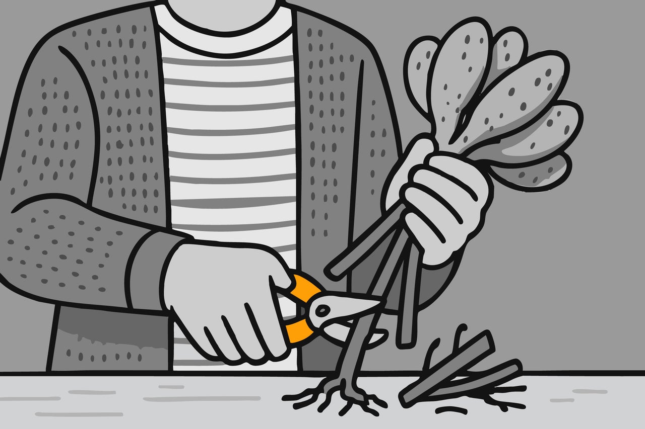 Illustration einer Person, die mit einer Gartenschere einen Setzling beschneidet