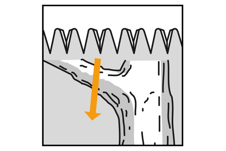 Image symbolique de la direction de coupe recommandée d'une branche