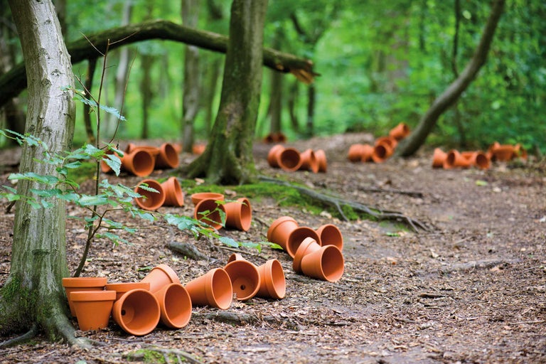 Szene im Wald mit vielen Terrakotta Blumentöpfen auf dem Boden.