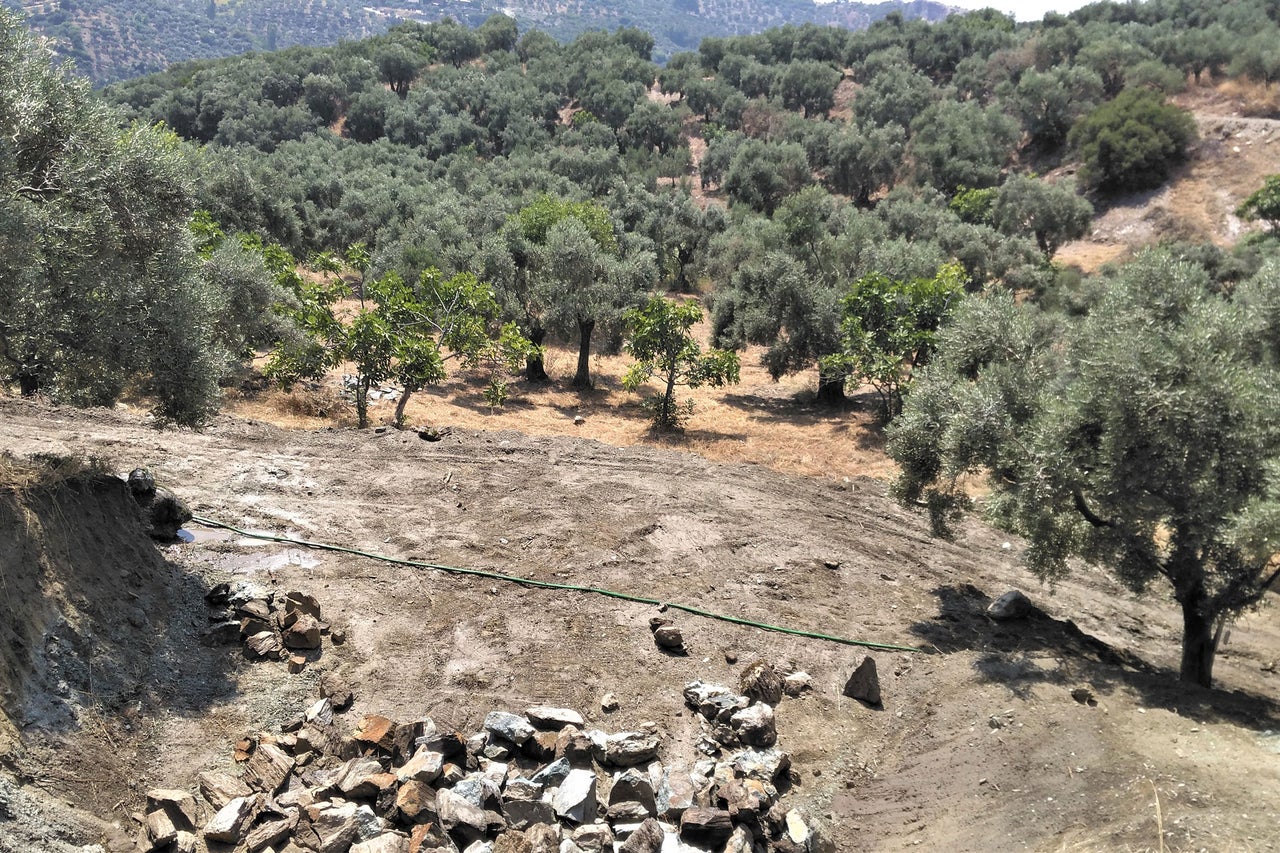Paysage avec oliviers, pierres et un tuyau vert