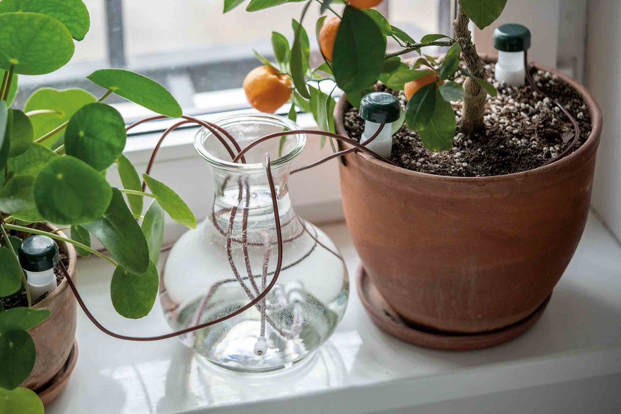 Systèmes d'irrigation automatique pour plantes d'intérieur sur un rebord de fenêtre