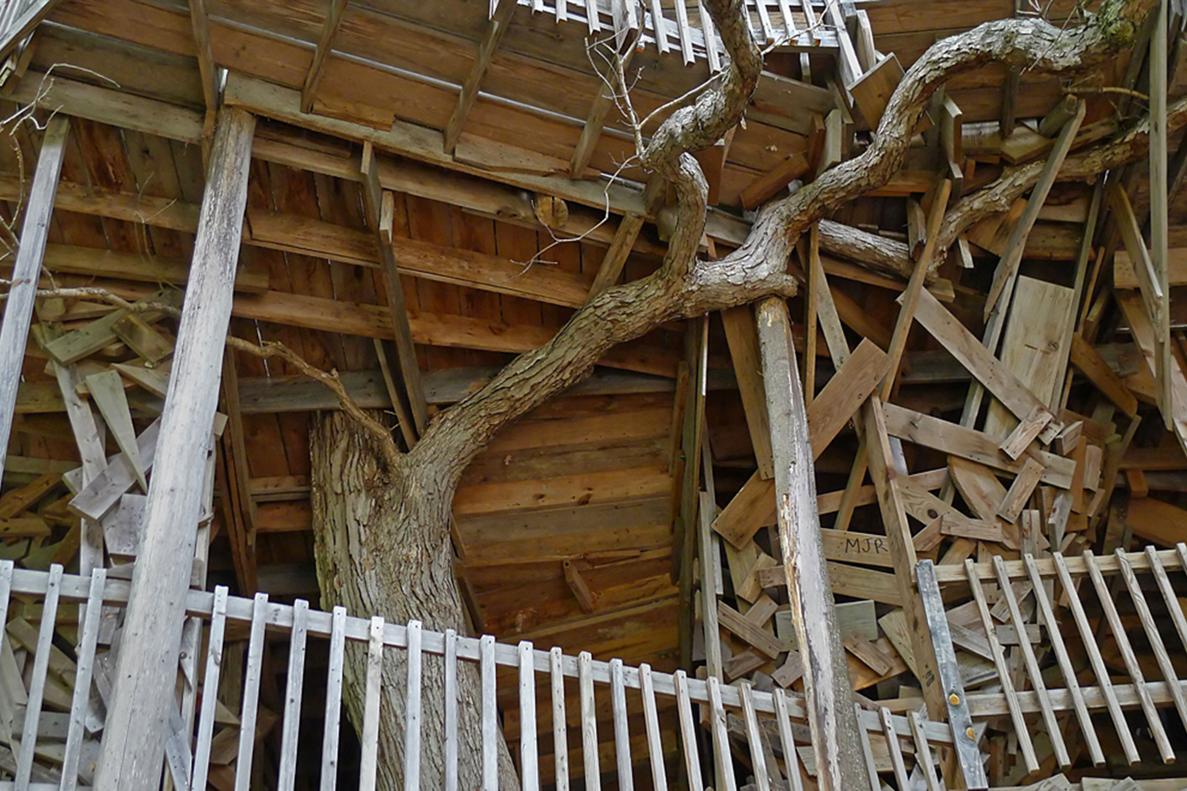 Detailansicht eines Holzhauses mit einem Baum, der durch das Gebäude wächst