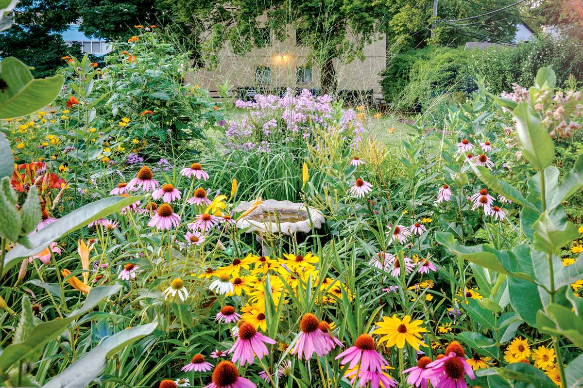 Jardin fleuri avec diverses fleurs et un abreuvoir pour oiseaux