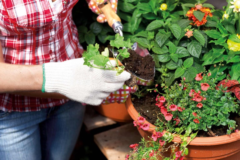 Gärtner pflanzt Blumen in Pflanzgefäss mit Gartenschaufel