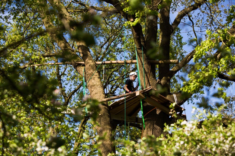 Mann mit Schutzhelm auf einer Baumplattform im Wald