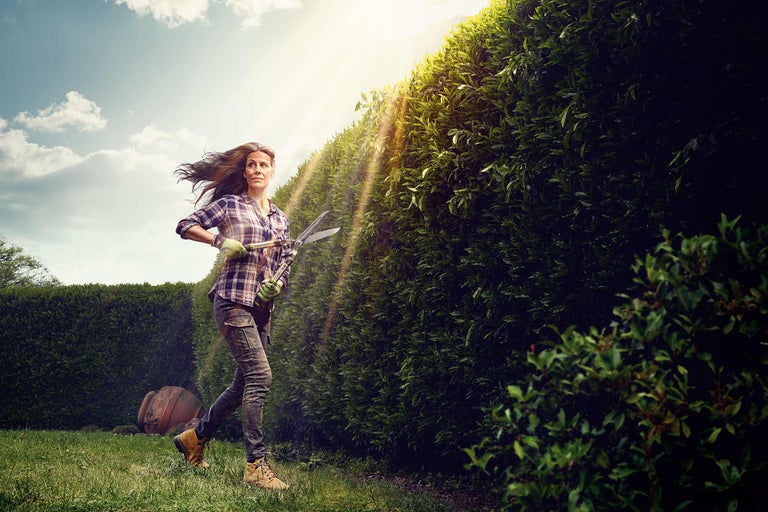 Frau schneidet Hecke mit Heckenschere im Garten