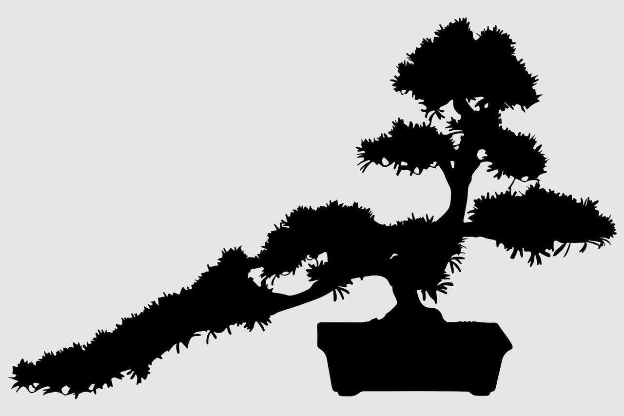 Silhouette d'un bonsaï en pot