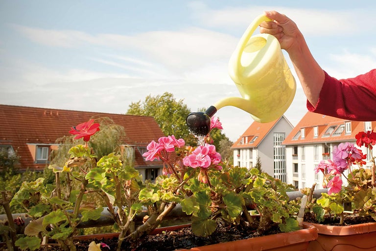 Eine Person gießt Blumen in einem Blumenkasten mit einer Gießkanne auf einem Balkon