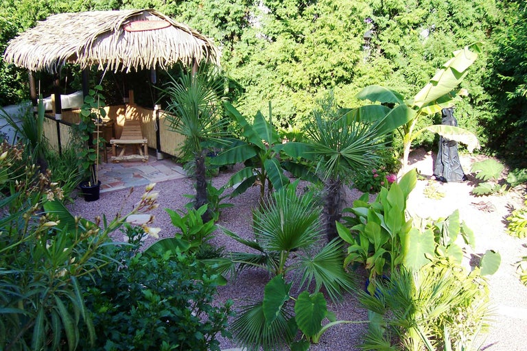 Aménagement paysager de jardin avec bar tiki et plantes tropicales