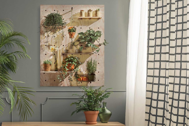 Mur décoratif avec plantes et étagères en intérieur