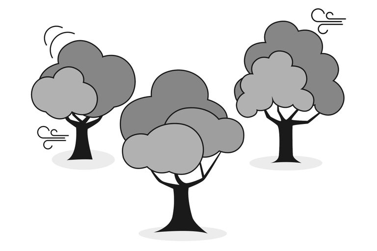 Illustration von drei Bäumen im Wind