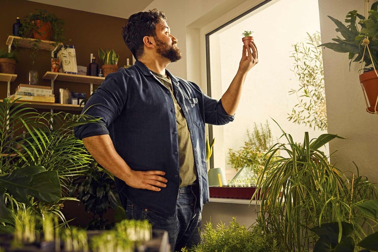 Homme regardant une plante d'intérieur en pot, entourée de plantes vertes et d'étagères