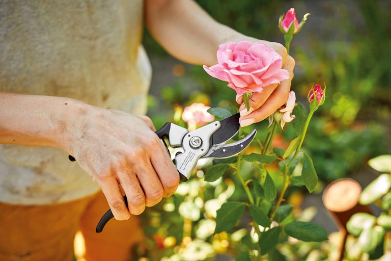 Calendrier du jardin