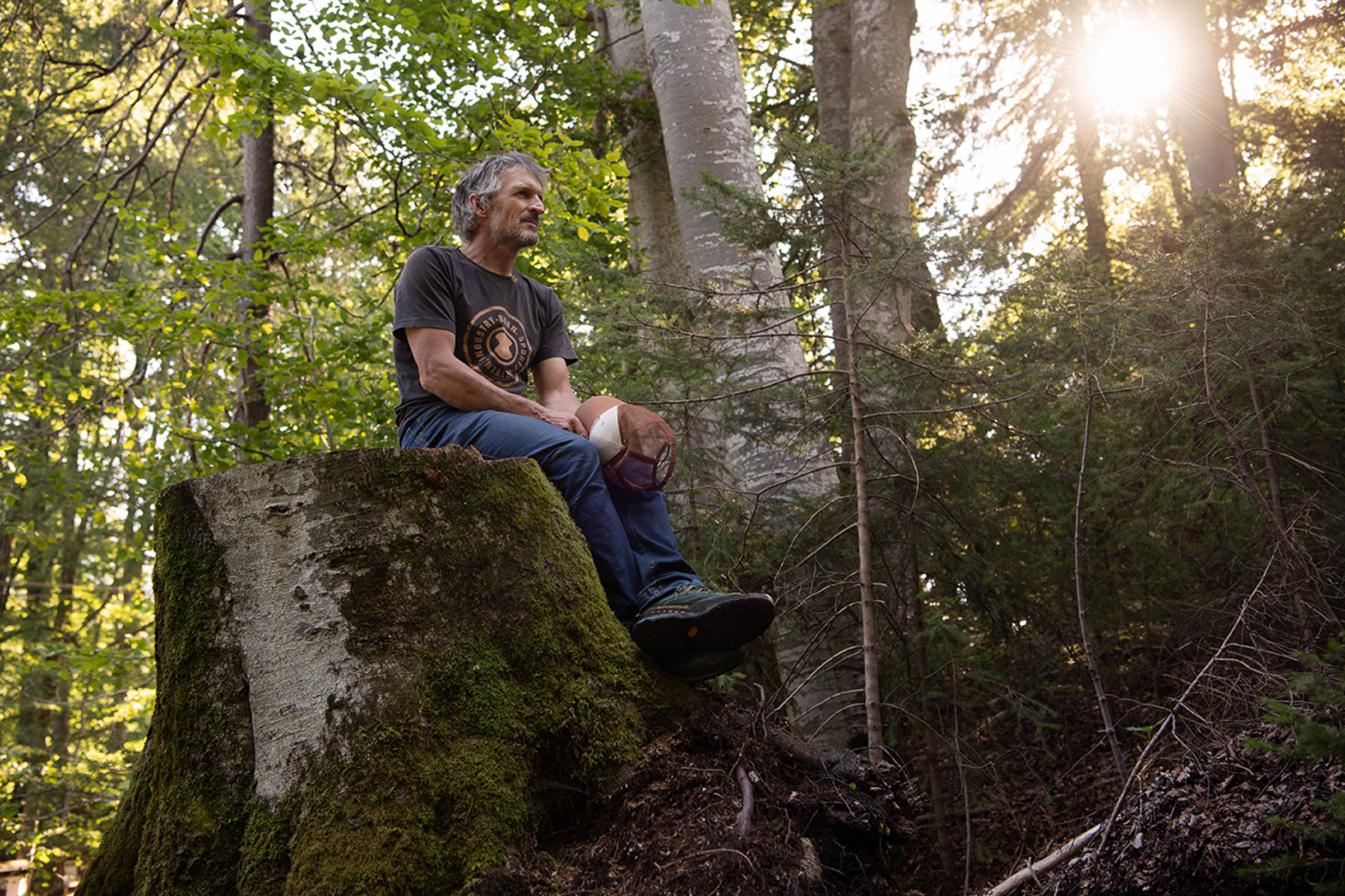 Un homme est assis sur une souche d'arbre dans une forêt.