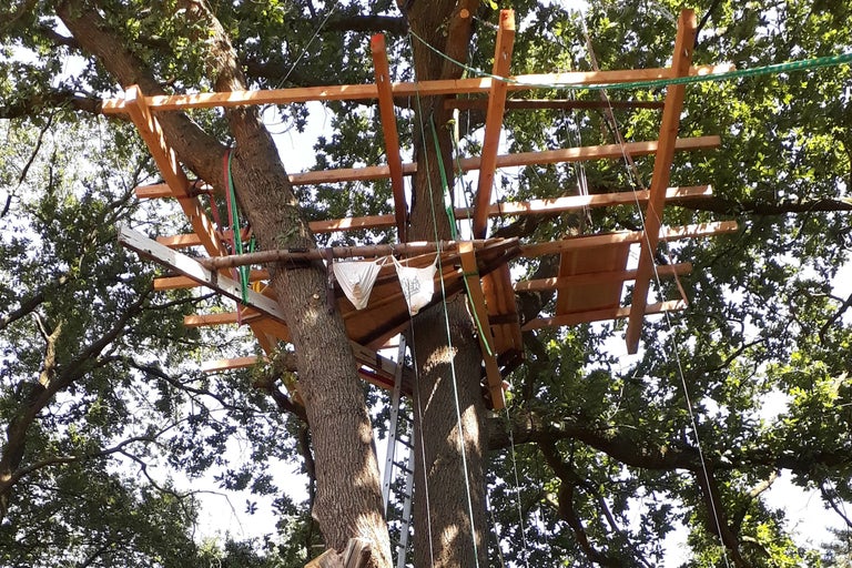 Baumhauskonstruktion aus Holz zwischen Bäumen